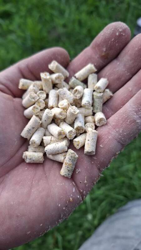 Pelety Standard (Burizon Baits)