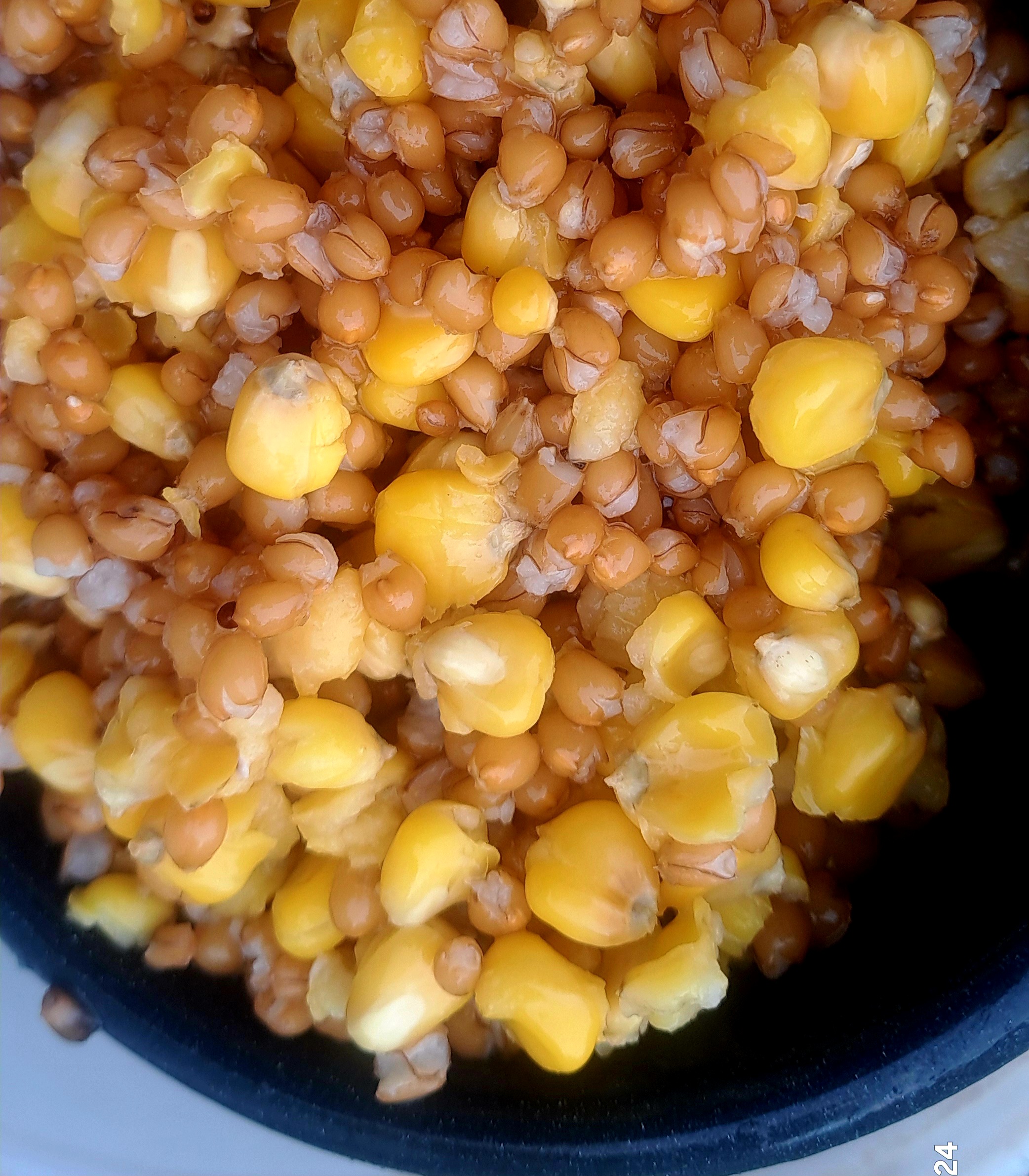 Vařená kukuřice & pšenice (Burizon Baits)